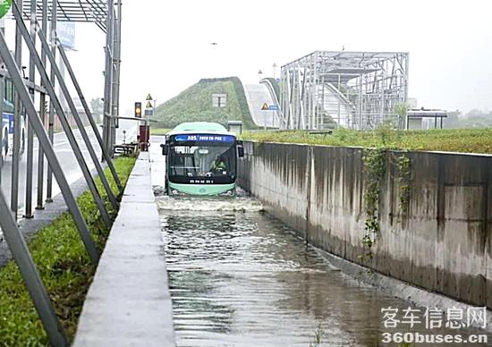 1609730034633501.jpg j17.jpg