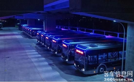 1609741957458243.jpg p7.jpg