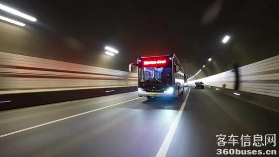 1609741987653867.jpg p9.jpg