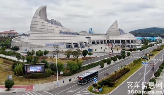 1609742037427884.jpg p11.jpg