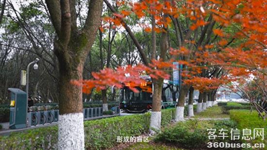 1609742089944849.jpg p13.jpg