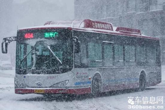 1611199137890663.jpg i6.jpg