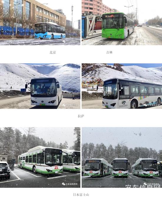 1611199315597443.jpg i14.jpg