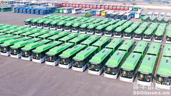 1611277914957239.jpg a13.jpg