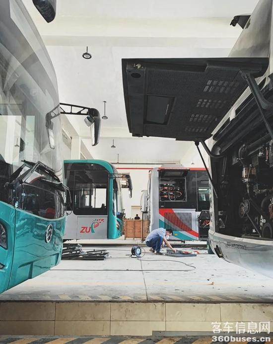 1611628066817839.jpg f3.jpg