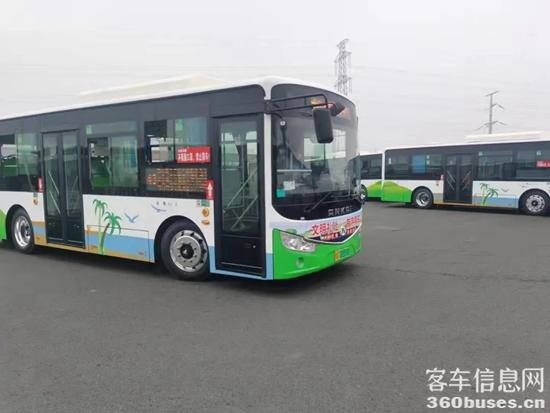 1612144020652862.jpg b2.jpg