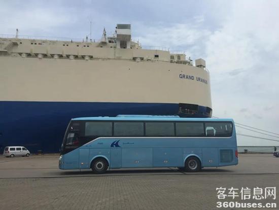 1612144829580145.jpg c8.jpg