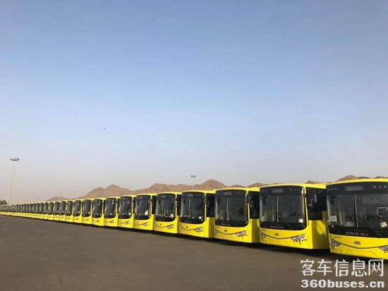 1612144864876239.jpg c10.jpg