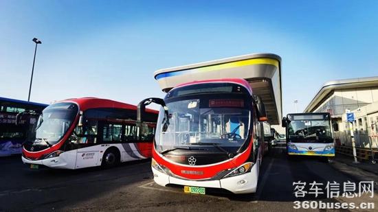 1615512210299989.jpg b2.jpg