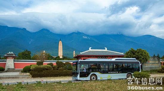 1617244180452263.jpg d7.jpg