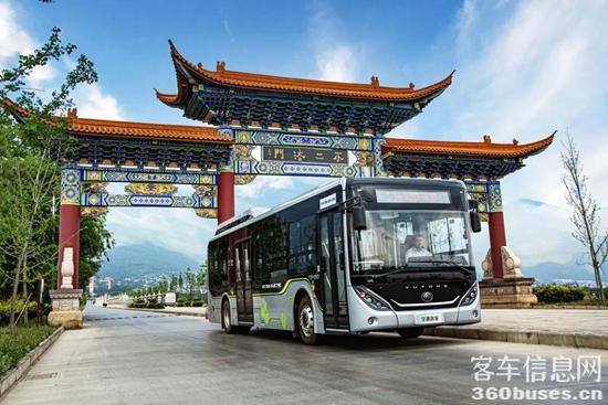 1617244185516074.jpg d8.jpg