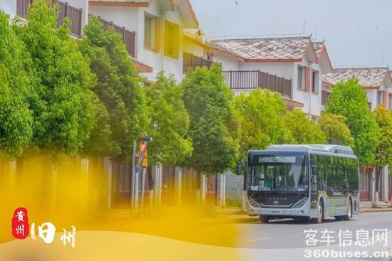 1617244240611891.jpg d12.jpg