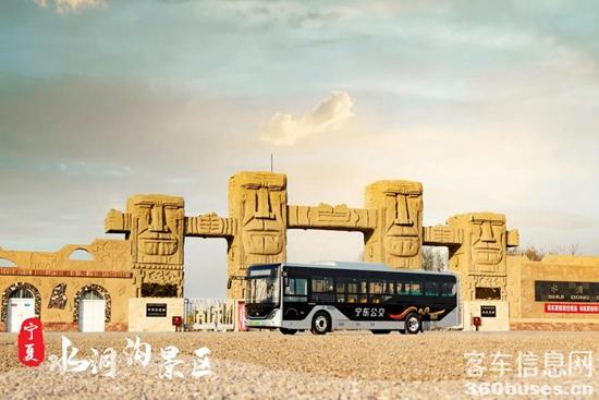 1617244274972129.jpg d15.jpg