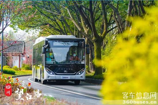 1617244448940850.jpg d19.jpg