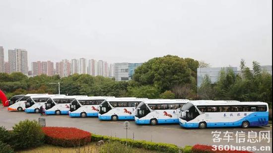 1617674309865089.jpg d3.jpg