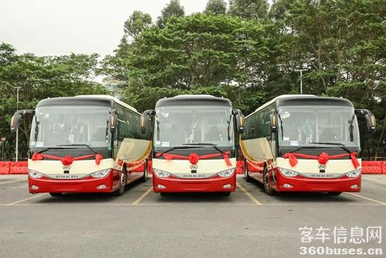 1618125532616780.jpg b1.jpg