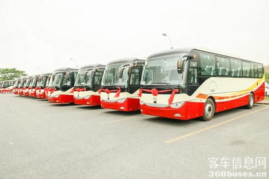 1618125548221563.jpg b3.jpg