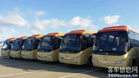 1618808192811214.jpg h12.jpg