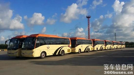 1618808216426638.jpg h13.jpg