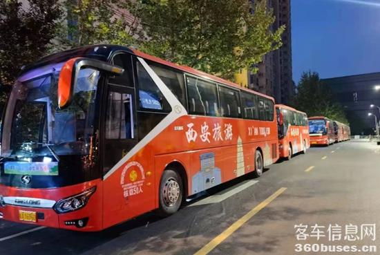 1619318064737216.jpg g3.jpg