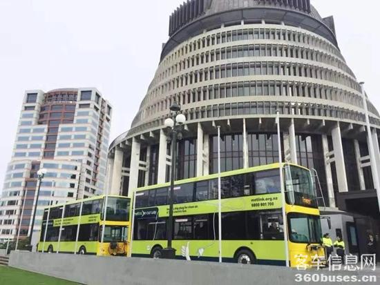 1619346659698569.jpg z8.jpg