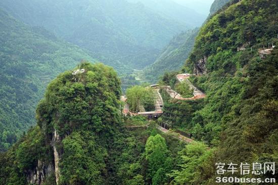 1619754702481704.jpg 3.jpg