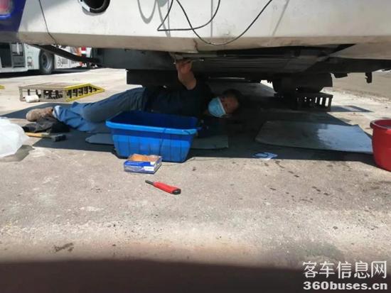 1620263532943957.jpg d3.jpg