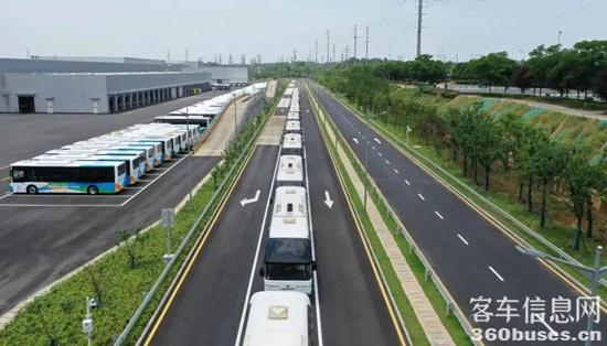 1623922993692182.jpg f8.jpg