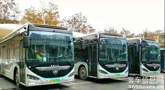 1624328213741681.jpg b7.jpg