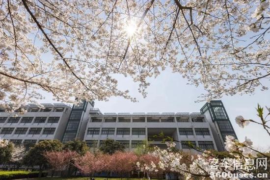 1624328916235550.jpg c1.jpg