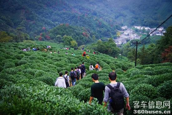 1624328989315584.jpg c3.jpg