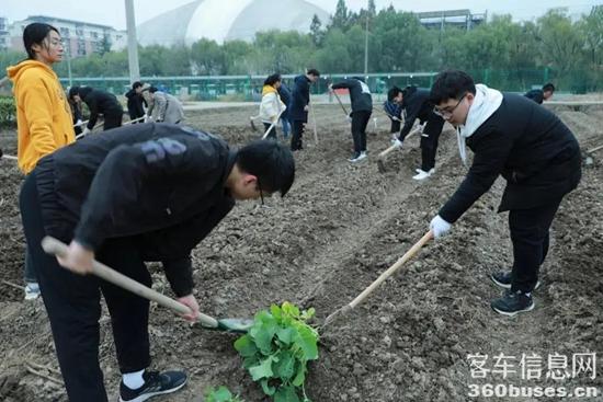 1624329011694363.jpg c4.jpg