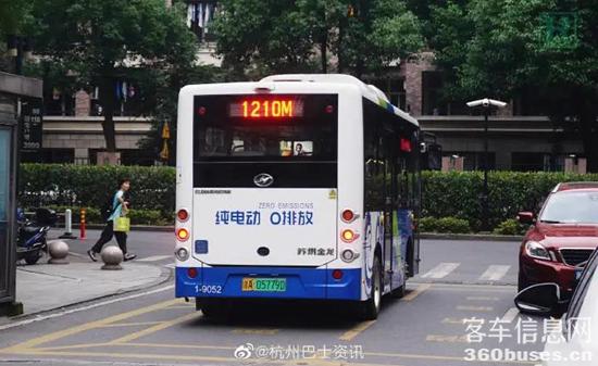 1624329096576981.jpg c8.jpg