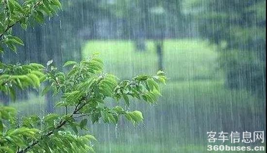 1624329521128304.jpg d1.jpg