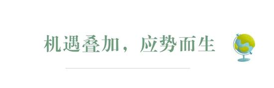 1624413941273595.jpg a2.jpg