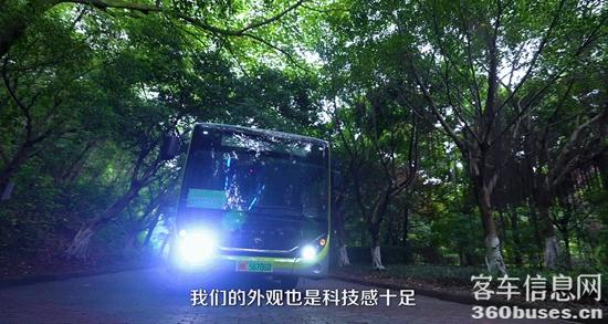 1624415377392218.jpg c10.jpg