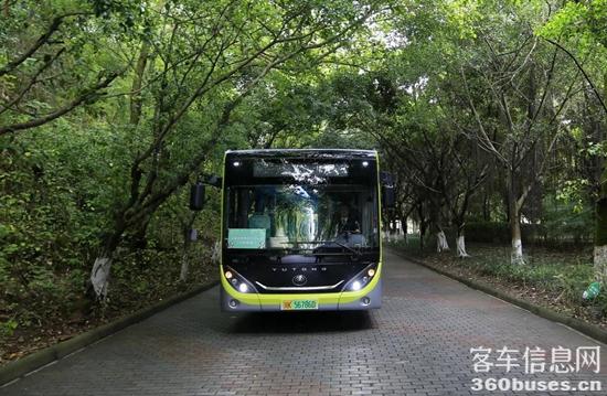 1624415557690645.jpg c21.jpg