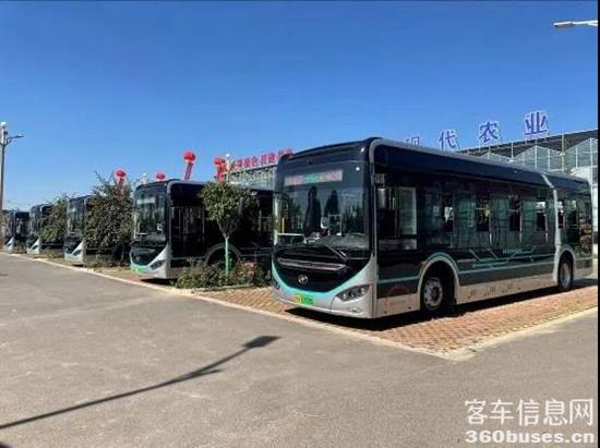 1629362992818101.jpg g2.jpg