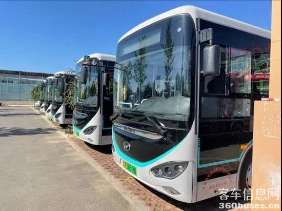 1629362999591943.jpg g3.jpg