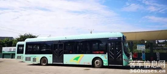 1629855108402955.jpg 1000.jpg