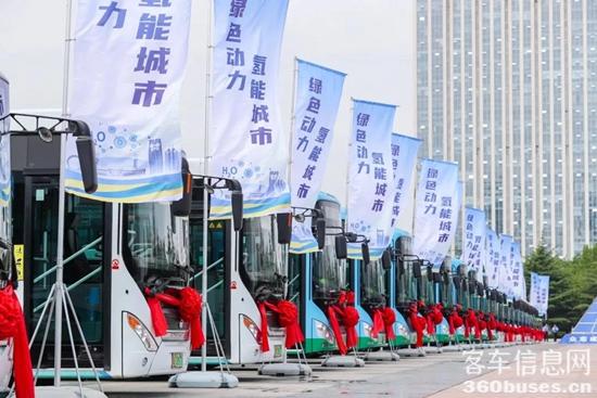 1630462293866879.jpg g5.jpg