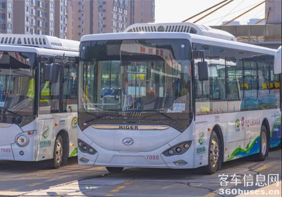 1631496047717905.jpg 4.jpg