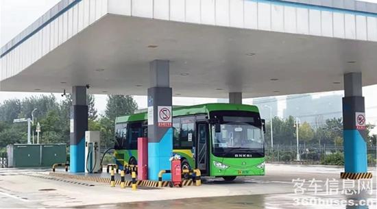 1631598932648996.jpg b5.jpg