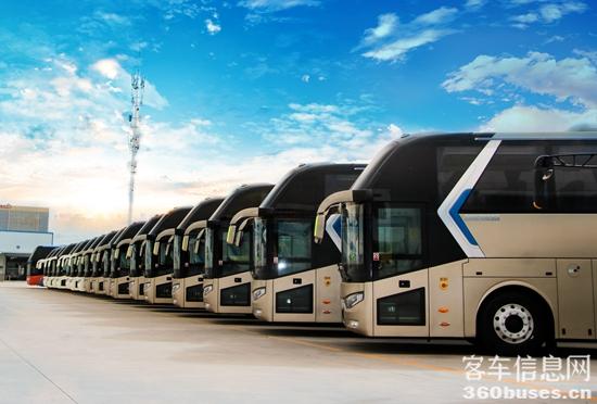 出口沙特的高端客車1.jpg