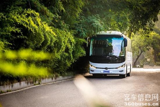 1632882290310812.jpg 20.jpg