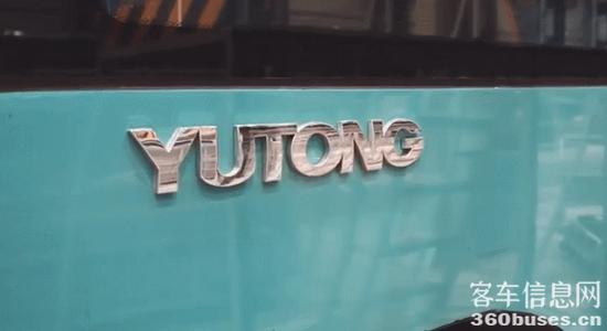 1633926914604375.jpg 15.jpg