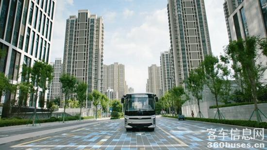 1635301960517013.jpg 5.jpg