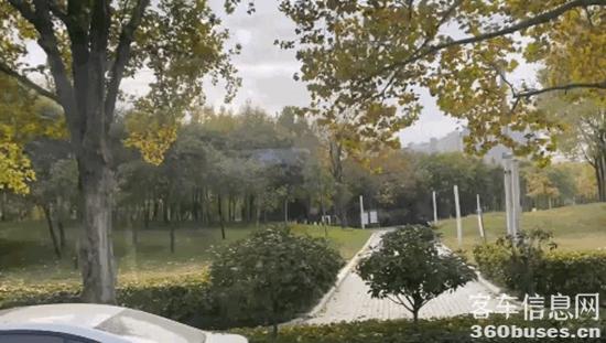 1638166828777973.jpg 23.jpg