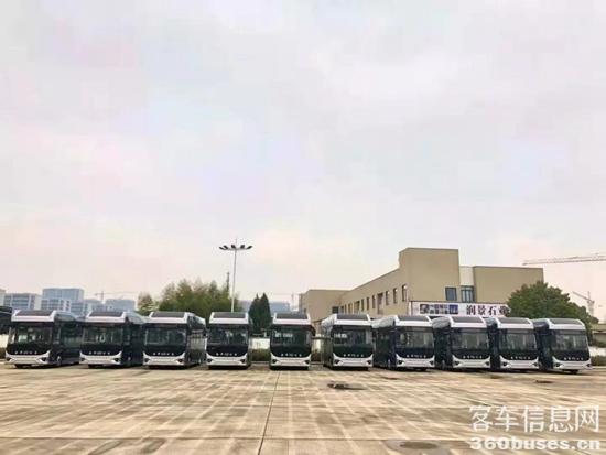 1641263864334904.jpg 1.jpg