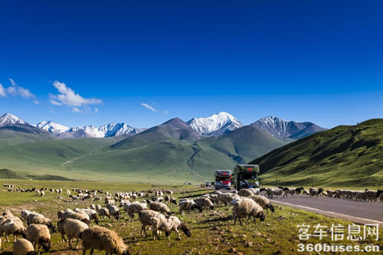 1641367397669514.png 圖片4.png